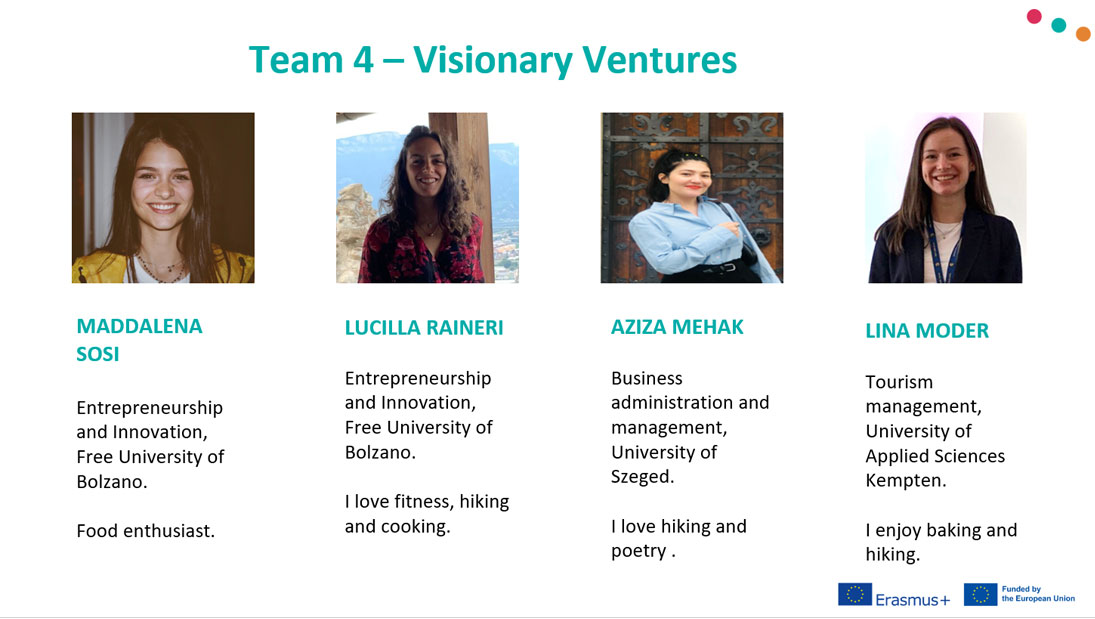 Team-4_Visionary-Ventures